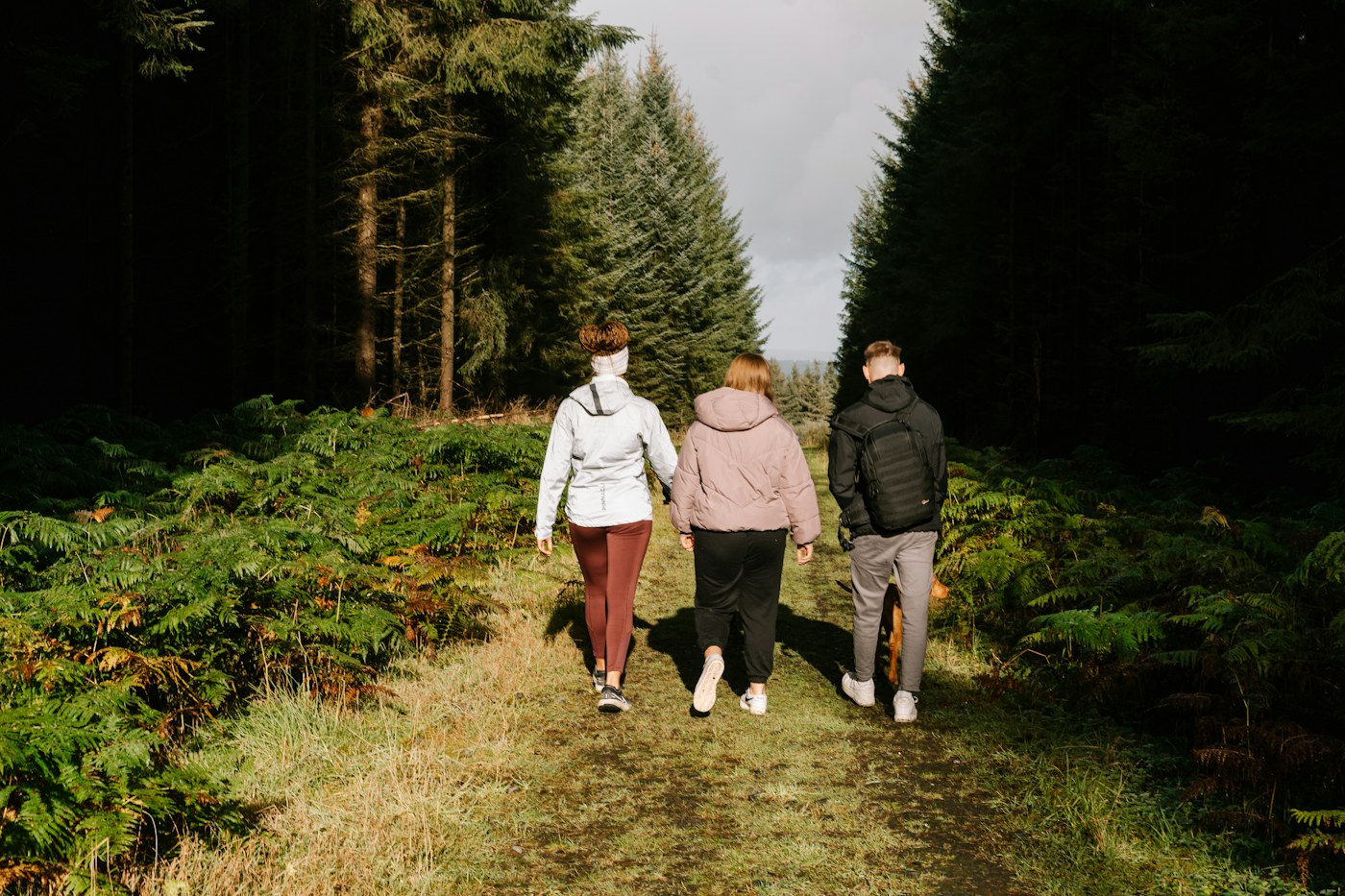 Three people walking together on a path through a green forest